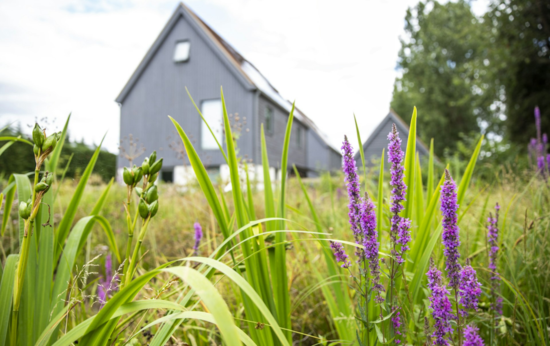 Eco-friendly residential development champions use of sustainable materials in construction to combat climate crisis