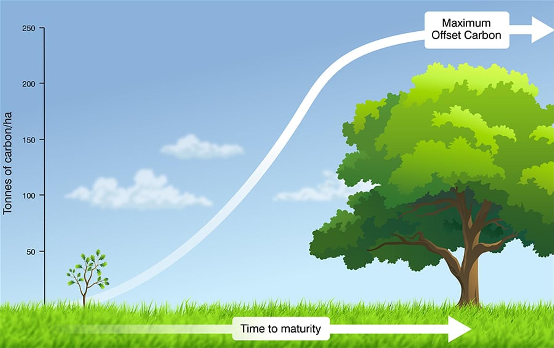 Decarbonisation of buildings – what does it mean in reality?